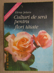 CULTURI DE SERA PENTRU FLORI TAIATE-ELENA SELARU foto