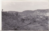 Bnk foto - Bustenari - Prahova - vedere generala 1964, Alb-Negru, Romania de la 1950, Natura