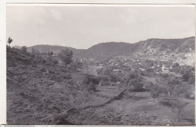 bnk foto - Bustenari - Prahova - vedere generala 1964 foto