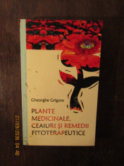 Gheorghe Grigore - Plante medicinale, ceaiuri si remedii fitoterapeutice foto