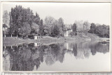 Bnk foto - Campina - Lacul - 1964, Alb-Negru, Romania de la 1950, Natura