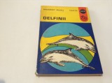 Delfinii - Modest Gutu-RF14/2