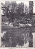 Bnk foto - Campina - Lacul - 1964, Alb-Negru, Romania de la 1950, Natura