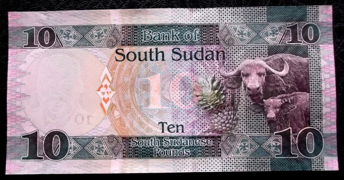 South Sudan de Sud 10 Pounds 2016 UNC necirculata **