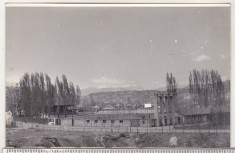 bnk foto - Poiana Campina - Stadionul - 1964 foto