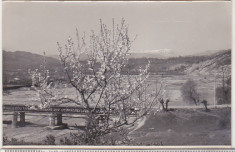 bnk foto - Poiana Campina - podul peste Prahova - 1964 foto