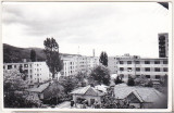 Bnk foto - Campina - cladiri - 1964, Alb-Negru, Romania de la 1950