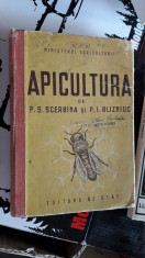 Apicultura - Scerbina foto