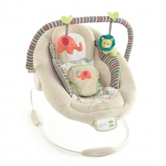 Balansoar static tip sezlong cu vibratii Bright Starts Comfort &amp;amp; Harmoney Cradling Bouncer Cozy Kingdom, ID276 foto