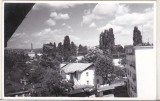 Bnk foto - Campina - cladiri - 1964, Alb-Negru, Romania de la 1950