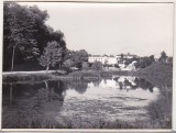 Bnk foto - Campina - lacul - 1964, Alb-Negru, Romania de la 1950, Natura