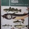 PESTELE OCEANIC - SPECII , CARCTERISTICI . RETETE - MIRCEA ALBOIU