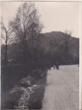 Bnk foto - Breaza - Vedere spre Crucea din Breaza - 1964, Alb-Negru, Romania de la 1950, Natura