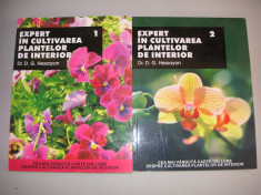 EXPERT IN CULTIVAREA PLANTELOR DE INTERIOR - D. G. HESSAYON - 2 VOLUME foto