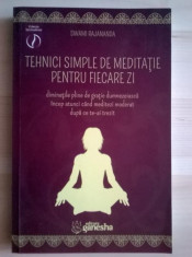 Swami Rajananda - Tehnici simple de meditatie pentru fiecare zi (sublinieri) foto