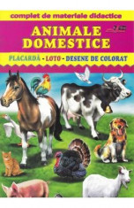 Animale domestice - Placarda, Loto, Desene de colorat foto