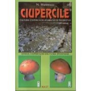 N. Mateescu - Ciupercile. Cultura ciupercilor Agaricus si Pleurotus foto