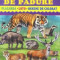 Animale de padure - Placarda, Loto, Desene de colorat