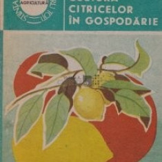 Mari-Ann Dobrotă - Cultura citricelor in gospodarie