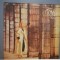 TONY WILLE - PRIVILEGE (ELE 02867/ELECTRECORD) - VINIL/stare F.Buna