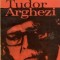 Florea Firan - Pe urmele lui Tudor Arghezi
