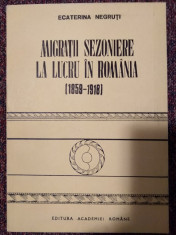 Migratii sezoniere la lucru in Romania : (1859-1918) / Ecaterina Negruti foto