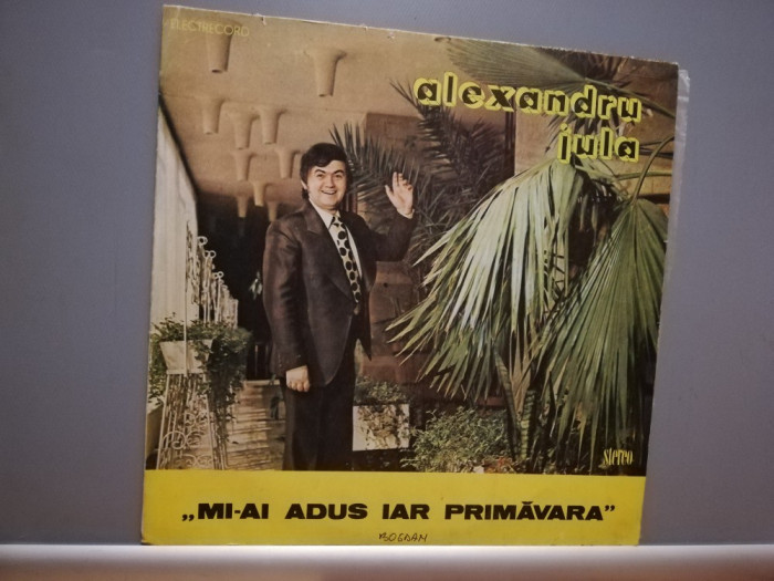 ALXANDRU JULA - MI-AI ADUS IAR ...(EDE02942/ELECTRECORD) - Vinil/stare F. BUNA