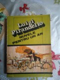 Nuvele pentru un an-Luigi Pirandello