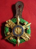 Insigna Militara Drago Paris -Armee de Terre -Service Historique ,metal si email