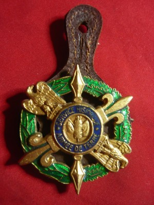 Insigna Militara Drago Paris -Armee de Terre -Service Historique ,metal si email foto