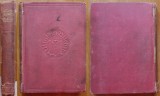 Cumpara ieftin Georg Hermann ( 1871 - 1943 , Auschwitz ) , Kubinke , roman , 1910 , editia 1