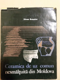 Ceramica de uz comun nesmaltuita din Moldova / Elena Busuioc