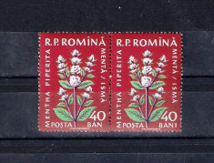 ROMANIA 1959 - PLANTE MEDICINALE, EROARE, IN PERECHE - LP 485b foto