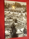 Ilustrata Timisoara - Vedere din Parc circulat 1964, Circulata, Fotografie