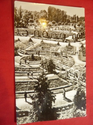 Ilustrata Timisoara - Vedere din Parc circulat 1964 foto