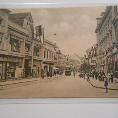 Carte postala, Sibiu, 1900, Strada centrala, Franz Josef, necirculata