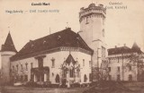 CAREI , SATU - MARE,CASTELUL CONTELE CAROLYI.