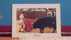 SPANIA - BARCELONA - SCENA DE LUPTA CU TAUR DIN ARENA - NECIRCULATA. foto