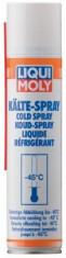 Spray Racire 400 Ml 44055 foto