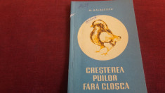 M BALASESCU - CRESTEREA PUILOR FARA CLOSCA foto