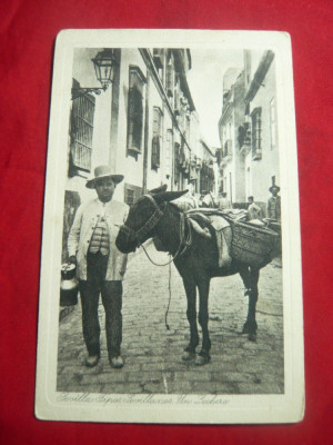 Ilustrata- Taran cu magar transporta produse la Sevilla -inc.sec.XX Spania foto