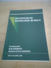 Dictionar de Sociologie Rurala - ILIE BADESCU foto