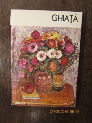 GHIATA -IOANA VLASIU foto