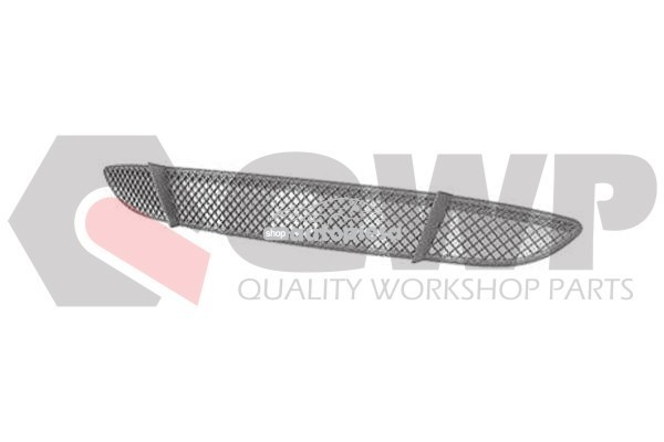 Grila ventilatie, bara protectie BMW Seria 1 (E87) (2003 - 2013) QWP 1405 270 Grila ventilatie, bara protectie BMW Seria 1 (E87) (2003 - 2013) QWP 1405 270