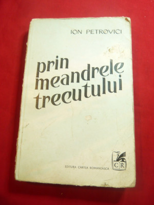 Ion Petrovici - Prin Meandrele Trecutului - Ed. Cartea Romaneasca 1979 foto