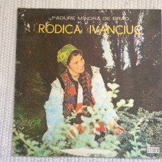 rodica ivanciuc padure mandra de brad disc vinyl lp muzica populara folclor VG+