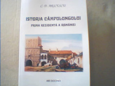 C.D. Aricescu - ISTORIA CAMPULUNGULUI / Prima rezidenta a Romaniei { 2007 } foto