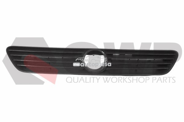 Grila radiator OPEL ASTRA G Hatchback (F48, F08) (1998 - 2009) QWP 6816 400 Grila radiator OPEL ASTRA G Hatchback (F48, F08) (1998 - 2009) QWP 6816 400