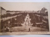 Carte postala Tr. Severin, vederea parcului, necirculata, 1917, Fotografie