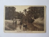 Carte postala Tozeur/Tunisia-Trecerea uedului anii 20, Circulata, Printata